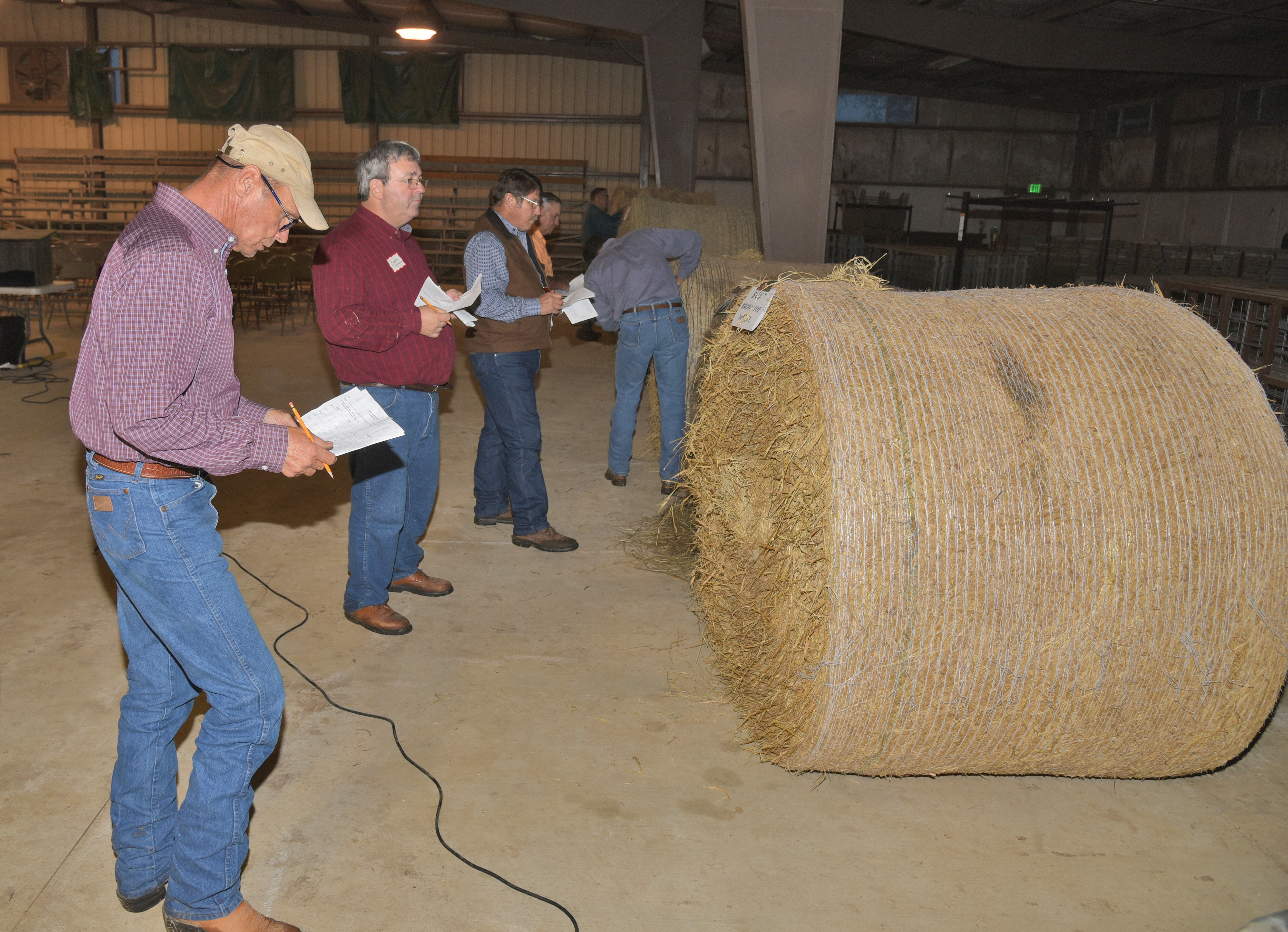 hay judging.jpg thumbnail